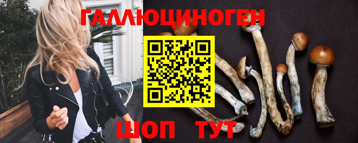 Псилоцибиновые грибы Cubensis  где можно купить   Вход с VPN  Новодвинск  Галлюциногенные грибы Cubensis 