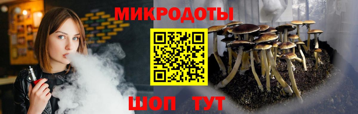 Псилоцибиновые грибы GOLDEN TEACHER Новодвинск